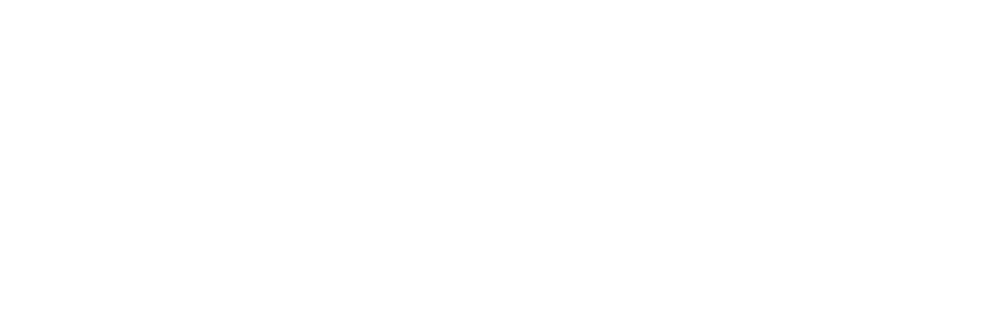 BI4YOU Logo